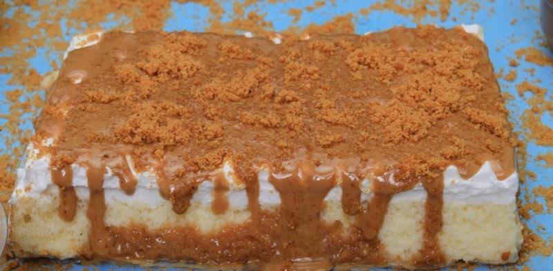 قشطوطة لوتس