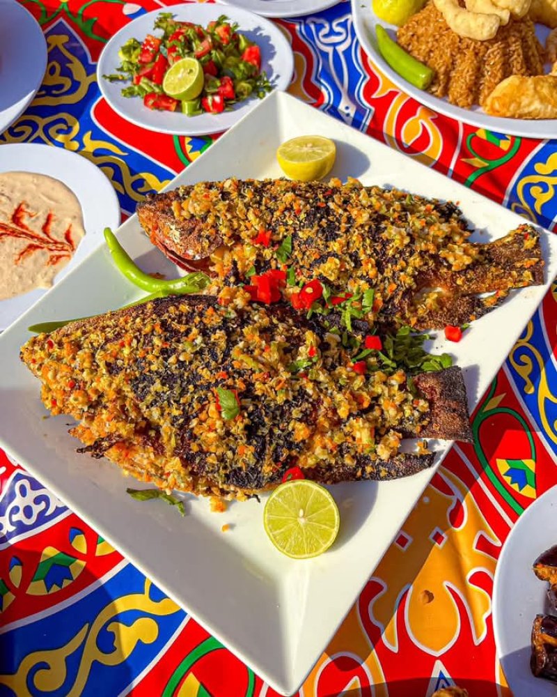الأسماك - Fish
