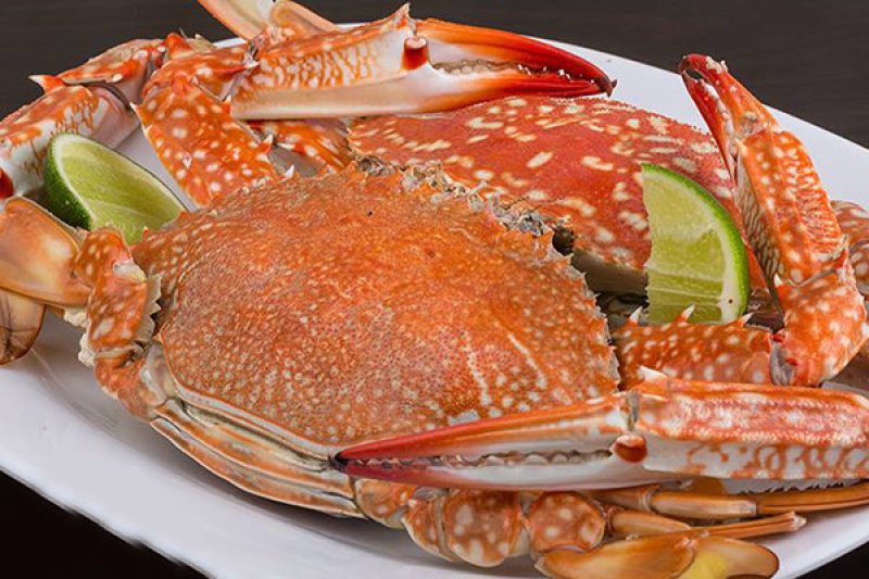 كابوريا وسط كيلو - Medium Crab One Kg